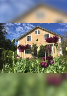 house-crop